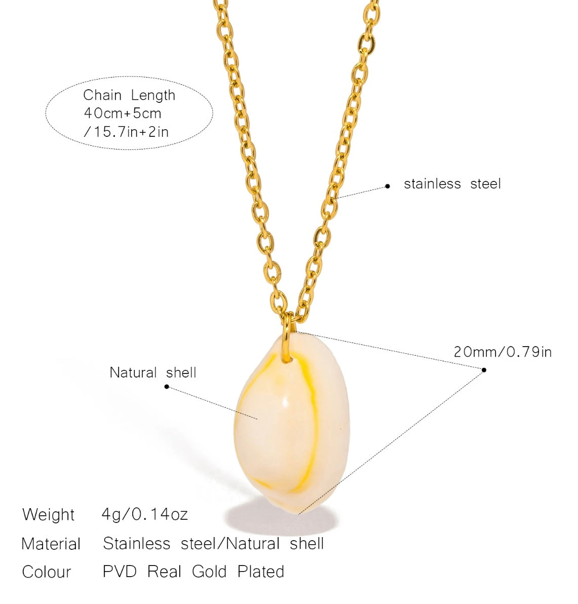 Gold-Plated Stainless Steel Necklace with single Natural Shell Pendant
