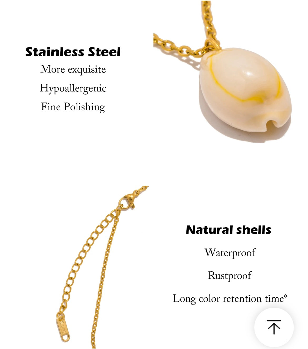 Gold-Plated Stainless Steel Necklace with single Natural Shell Pendant