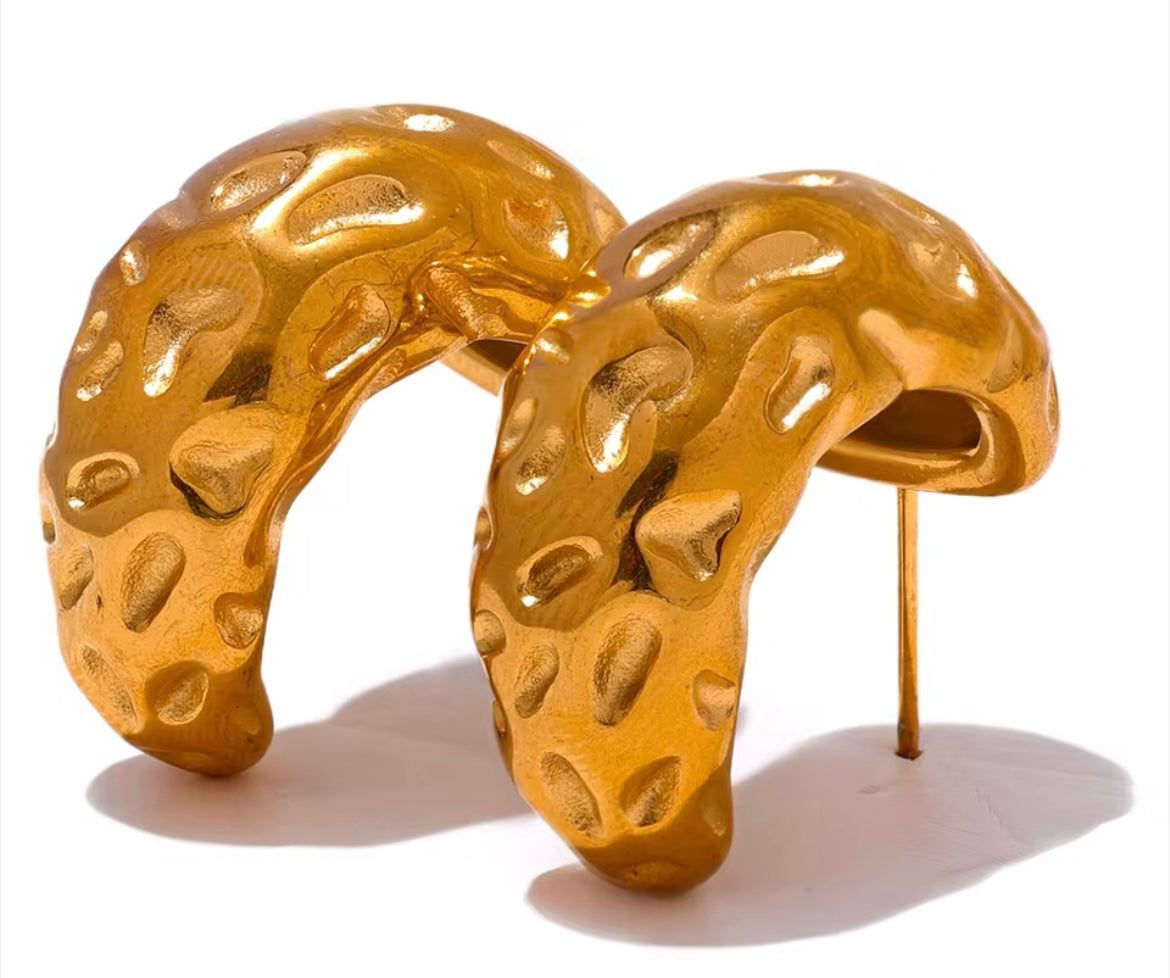 Stainless Steel Gold-Plated Earrings Collection