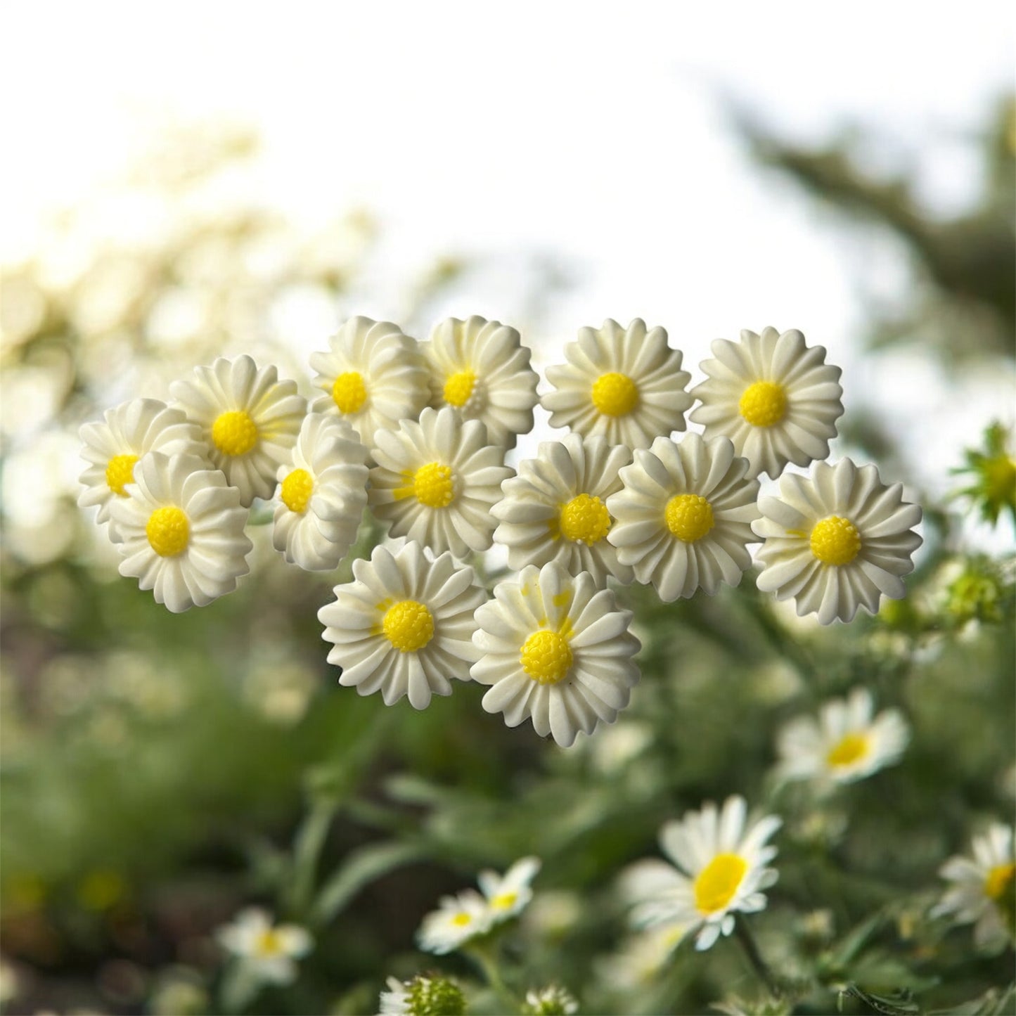 Sunny Daisy Bloom Studs – 16mm Acrylic with Stainless Steel Back